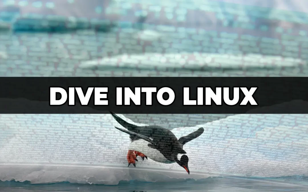 penguin diving to learn linux