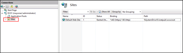IIS Management Window