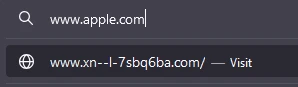 firefox-browser-converting-url-into-punycode-format Firefox browser converting a bogus URL into punycode format